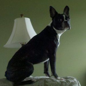 Meet your Posher, Gerald